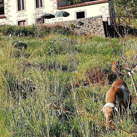 Casa Rural Las Caldereras Терор Екстериор снимка